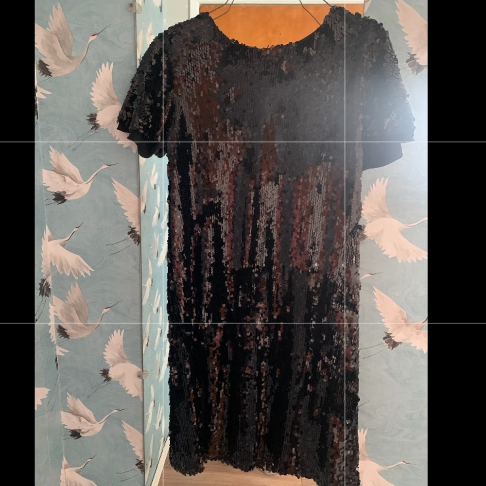 Zara black sequin dress